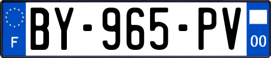 BY-965-PV
