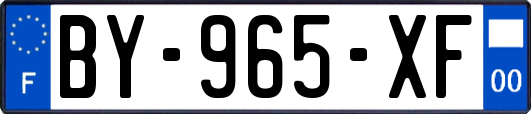 BY-965-XF