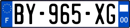 BY-965-XG