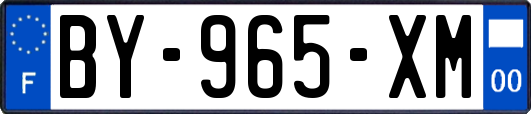 BY-965-XM