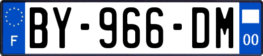 BY-966-DM