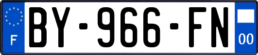 BY-966-FN