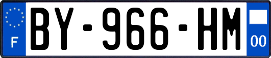 BY-966-HM