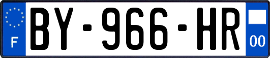 BY-966-HR