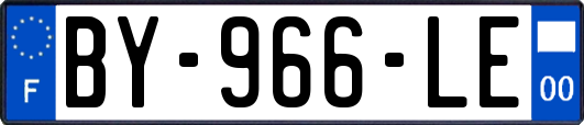BY-966-LE