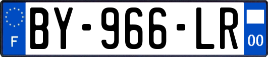 BY-966-LR