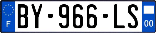 BY-966-LS