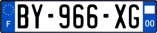BY-966-XG