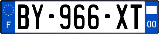 BY-966-XT
