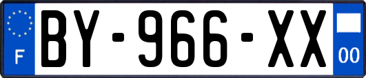 BY-966-XX