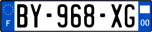 BY-968-XG