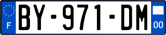 BY-971-DM