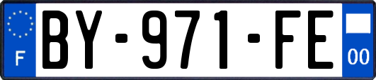 BY-971-FE