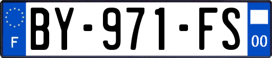 BY-971-FS