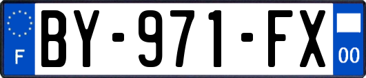 BY-971-FX