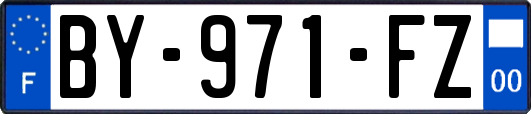 BY-971-FZ