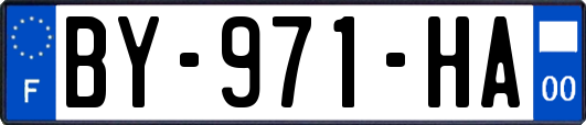 BY-971-HA