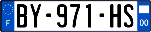 BY-971-HS
