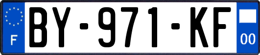BY-971-KF