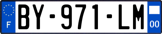 BY-971-LM