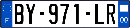 BY-971-LR