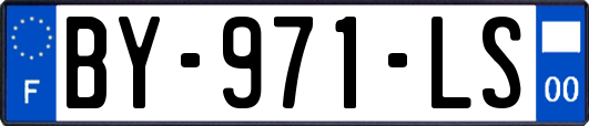 BY-971-LS