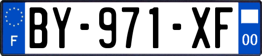 BY-971-XF