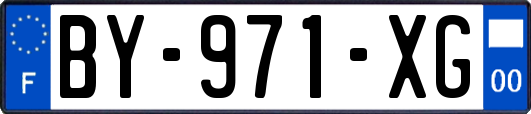 BY-971-XG
