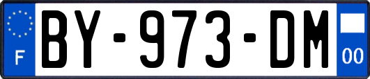 BY-973-DM
