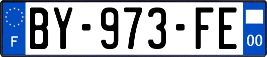 BY-973-FE