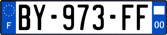 BY-973-FF