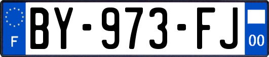 BY-973-FJ