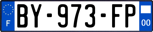 BY-973-FP