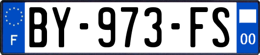 BY-973-FS