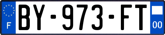 BY-973-FT