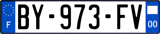 BY-973-FV