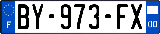 BY-973-FX