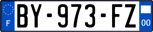 BY-973-FZ