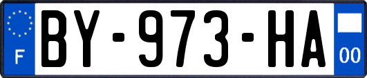 BY-973-HA