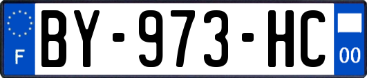 BY-973-HC