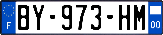 BY-973-HM