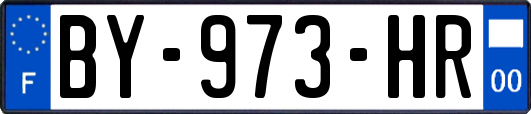 BY-973-HR