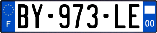 BY-973-LE