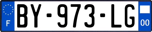 BY-973-LG