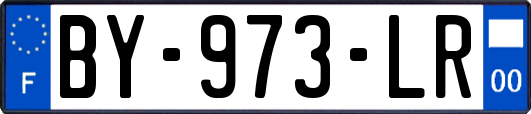 BY-973-LR