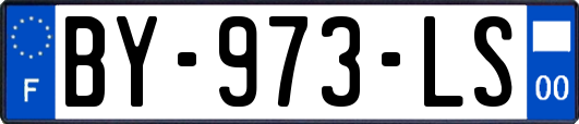 BY-973-LS