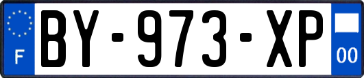 BY-973-XP