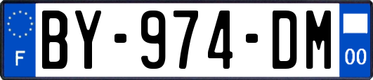 BY-974-DM