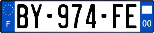 BY-974-FE