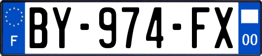 BY-974-FX